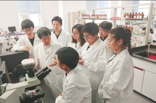 聚力中國原創聚焦超聲技術，服務人民生命健康——重慶醫科大學的創新與擔當